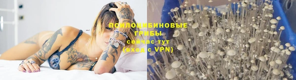 прущая мука Нефтегорск