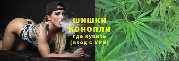 гашик Нея