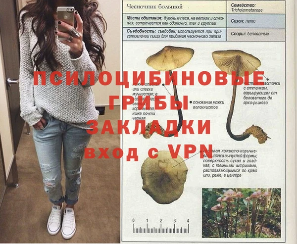ALPHA PVP Нефтекумск