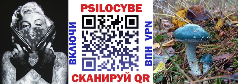Галлюциногенные грибы мицелий  Купить закладки  Котовск 